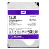 Western Digital WD100PURZ 10TB 5400Rpm 256Mb Cache Sata III 3,5" Zoll Red