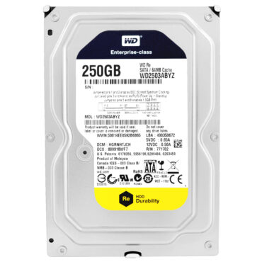 Western Digital 250Gb WD2503ABYZ 64Mb Cache 7200Rpm Sata III 3,5'' Zoll