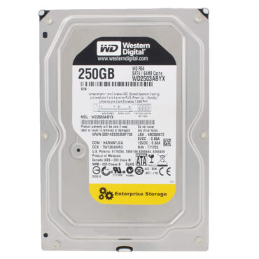 Festplatte Western Digital RE4 250GB WD2503ABYX 64MB 7200U/min Sata II 3,5" Zoll