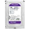 Western Digital WD Purple 1TB WD10PURZ 64MB Cache 5400Rpm Sata III 3,5" HA500